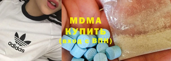 индика Новодвинск