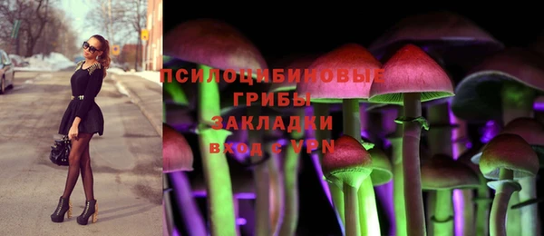 каннабис Новозыбков