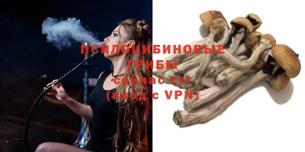 индика Новодвинск