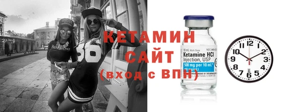 индика Новодвинск