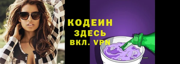 индика Новодвинск