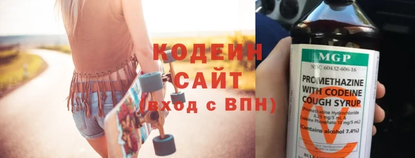 индика Новодвинск