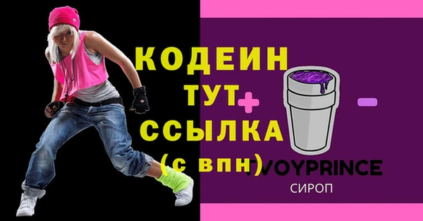 индика Новодвинск