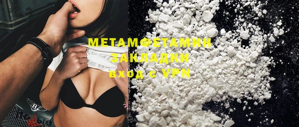 индика Новодвинск