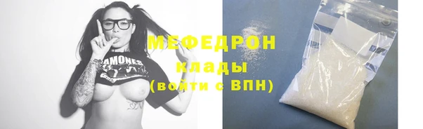 индика Новодвинск