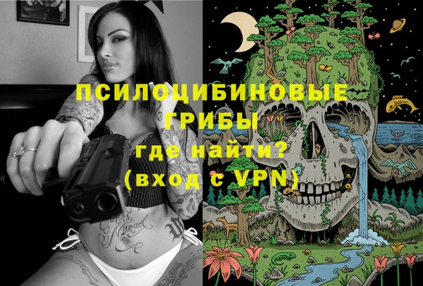 индика Новодвинск
