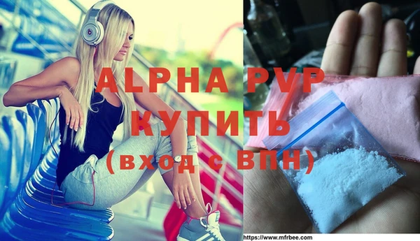 индика Новодвинск