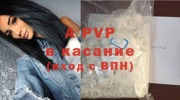 индика Новодвинск
