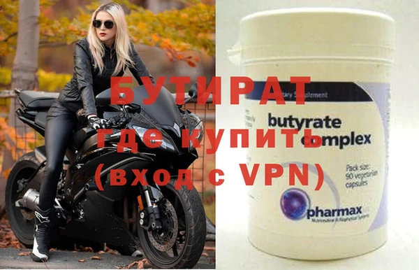 индика Новодвинск
