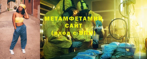 индика Новодвинск
