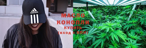 индика Новодвинск