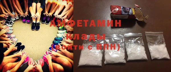 индика Новодвинск
