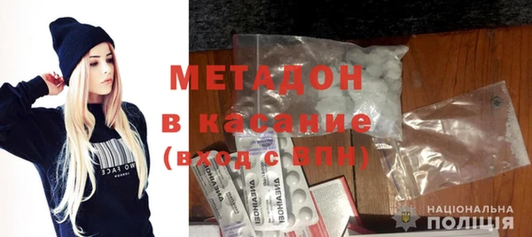 индика Новодвинск