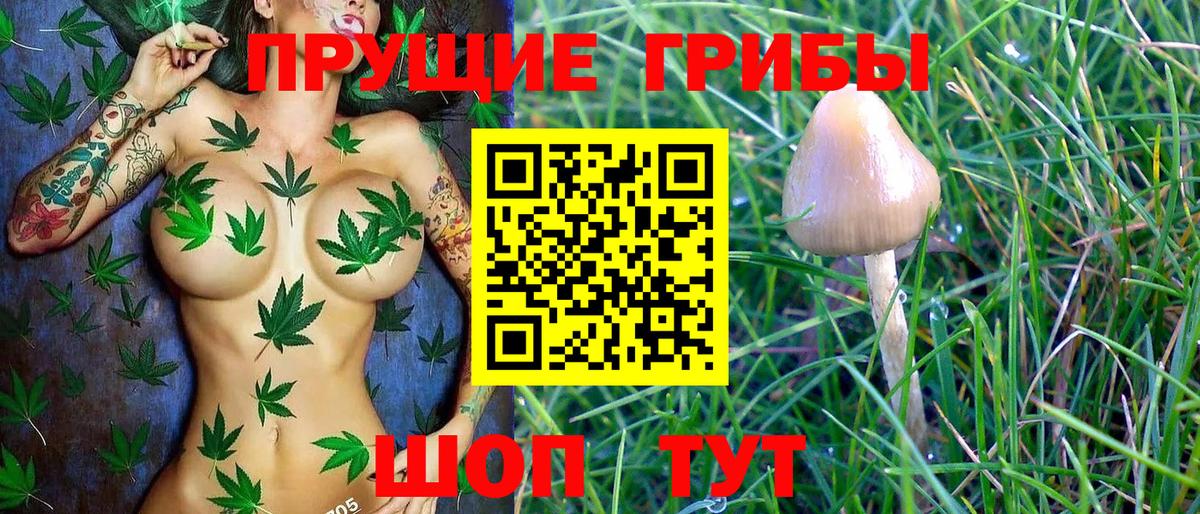 Псилоцибиновые грибы Psilocybine cubensis  Вход с VPN  купить закладку  Шуя 