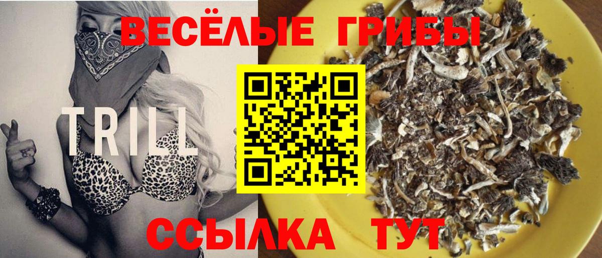Галлюциногенные грибы Magic Shrooms Шуя