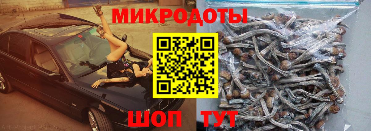 Псилоцибиновые грибы Magic Shrooms  Псилоцибиновые грибы ЛСД  Шуя 