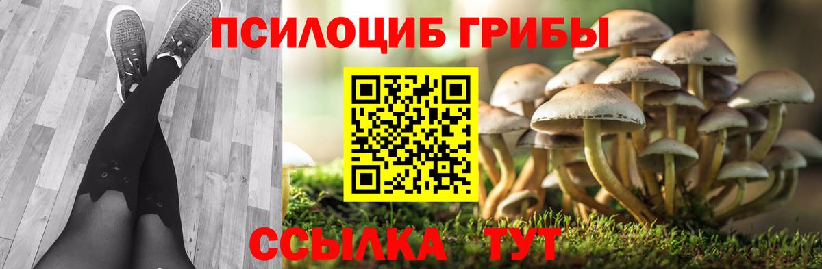 MDMA  ГАШИШ  Кокаин  Вход с VPN  Мефедрон  Вейп ТГК  Шуя  СОЛЬ CK  Мефедрон  ГЕРОИН  Марихуана 